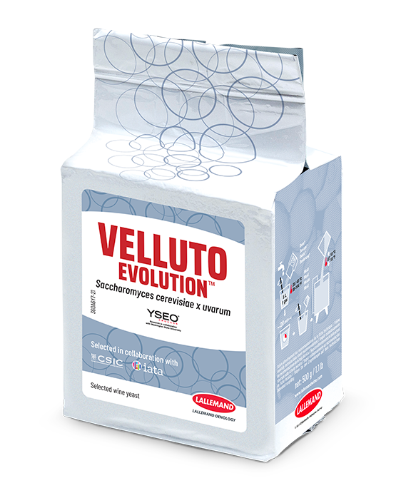LIEVITO PER ENOLOGIA VELLUTO