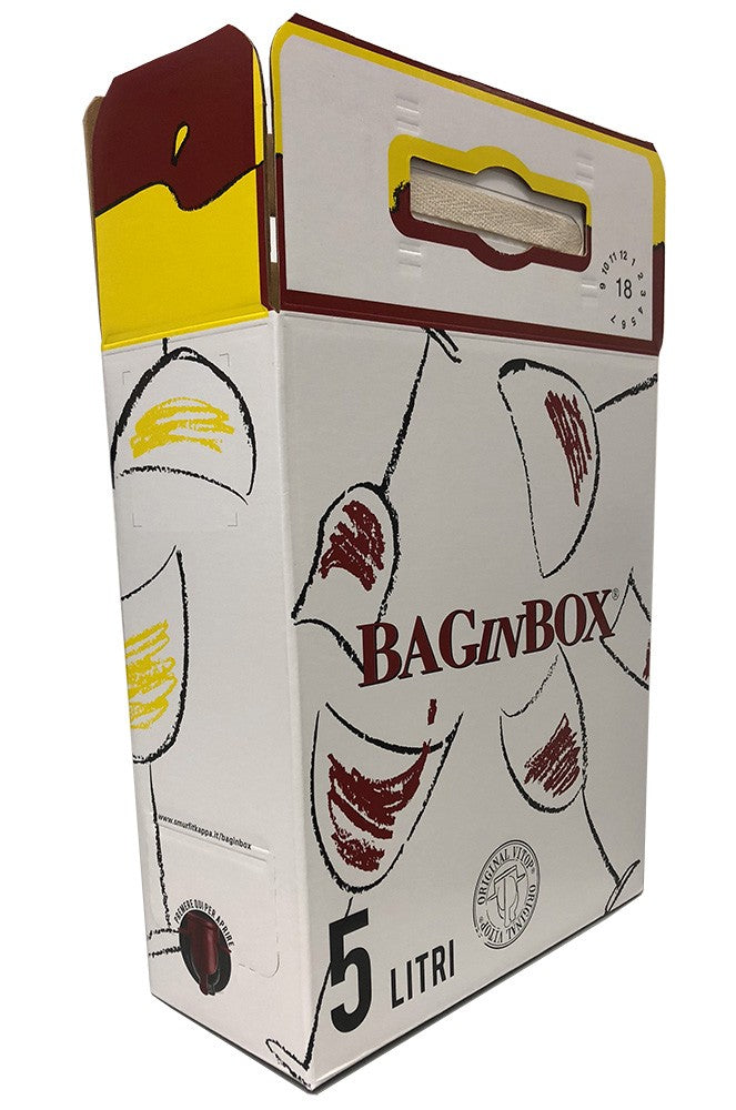 Box for 5 L bag in box